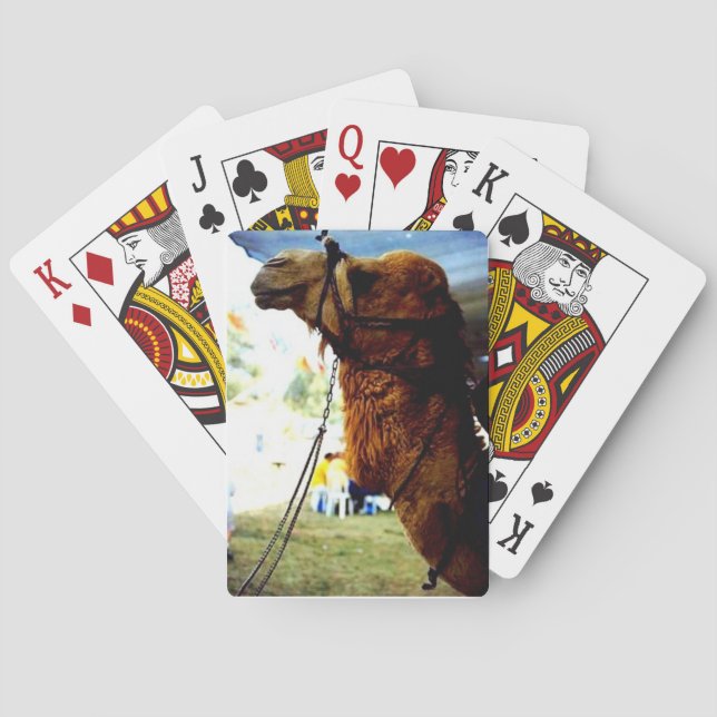 Jeu De Cartes Cartes de jeu israéliennes de chameau (dos)