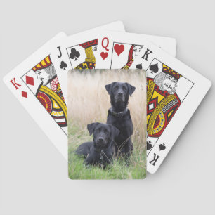 Jeu De Cartes Cartes de jeu noires de Labrador