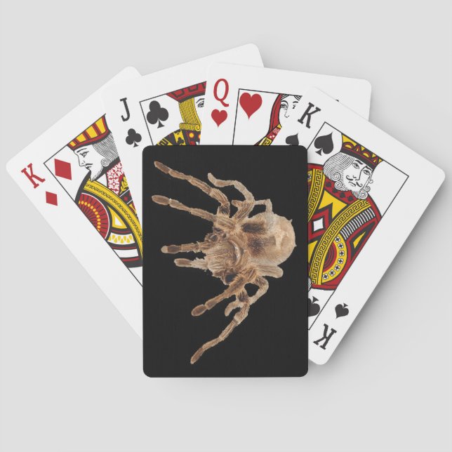 Jeu De Cartes Cartes de jeu simples de tarentule (dos)