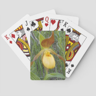 Jeu De Cartes Cartes de jeu, standard