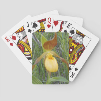 Jeu De Cartes Cartes de jeu, standard