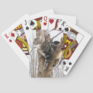 Jeu De Cartes Cartes de jeu Tabby Cat