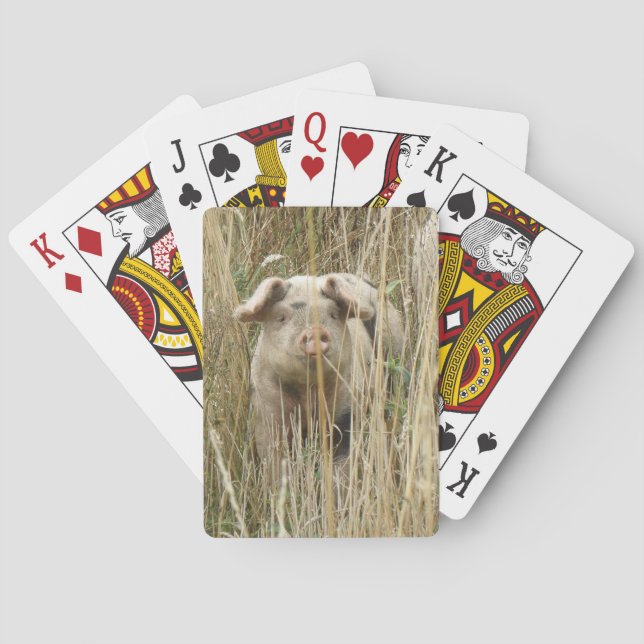 Jeu De Cartes Cartes de jeu tachetées mignonnes de porc (dos)