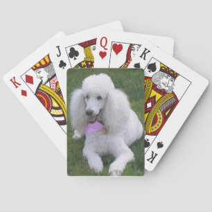 Jeu De Cartes Cartes de jeu White Standard Poodle