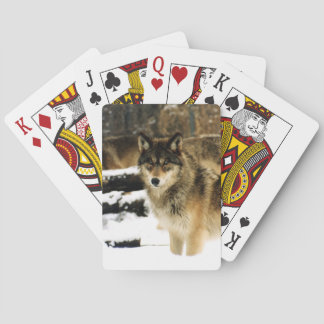 Jeu De Cartes Cartes de jeu Wolf Bicycle