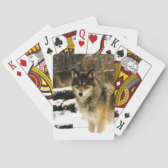 Jeu De Cartes Cartes de jeu Wolf Bicycle (dos)