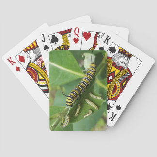 Jeu De Cartes Cartes de lecture classiques