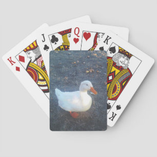 Jeu De Cartes Cartes de lecture de canard