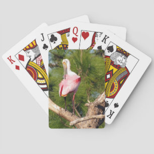 Jeu De Cartes Cartes de lecture de Spoonbill Roseate