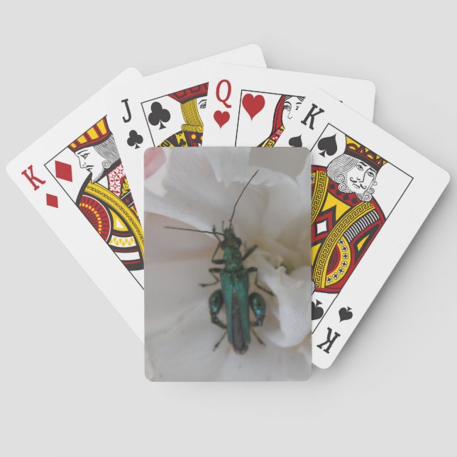 Jeu De Cartes Cartes de lecture du coléoptère de fleurs (dos)