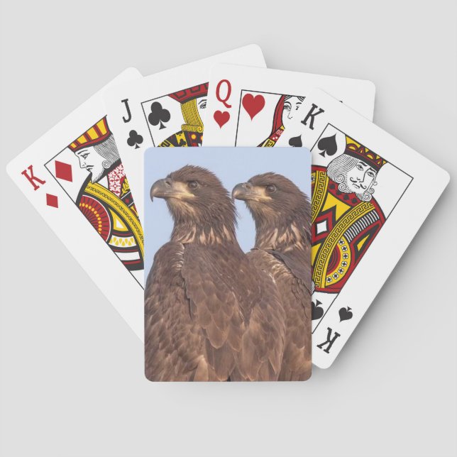 Jeu De Cartes Cartes de lecture E17 et E18 (dos)