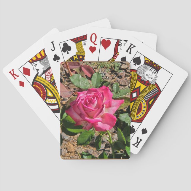Jeu De Cartes Cartes de lecture rose (dos)