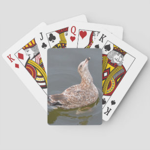 Jeu De Cartes Cartes de lecture Seagull