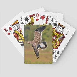 Jeu De Cartes Cartes de lecture Seagull
