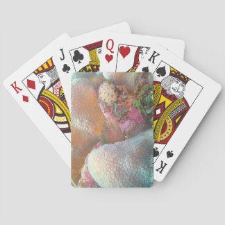 Jeu De Cartes Cartes de poker à bicyclette Eel