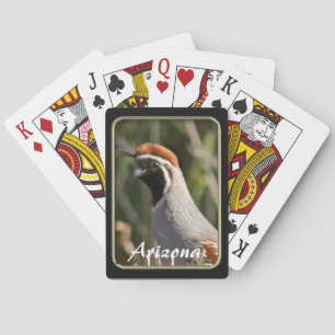 Jeu De Cartes Cartes de quail de Gambel en Arizona