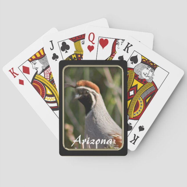 Jeu De Cartes Cartes de quail de Gambel en Arizona (dos)