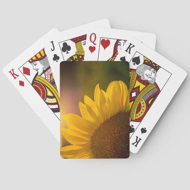 Jeu De Cartes Cartes de tournesol (dos)