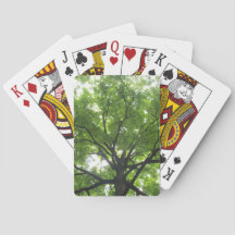 Cartes Sunshine Canopy