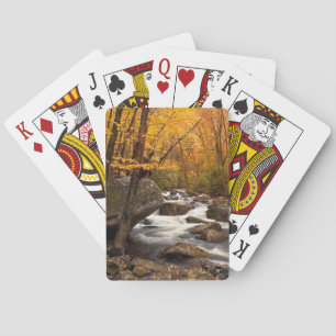 Jeu De Cartes Cascade d'automne