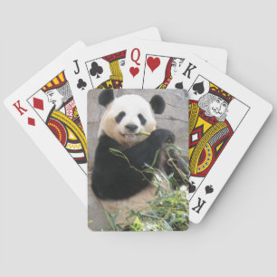 Jeu De Cartes Casse-croûte de panda