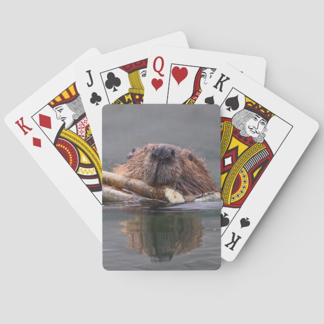 Jeu De Cartes castor (dos)