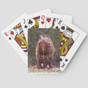 Jeu De Cartes Castor d'arrière cour