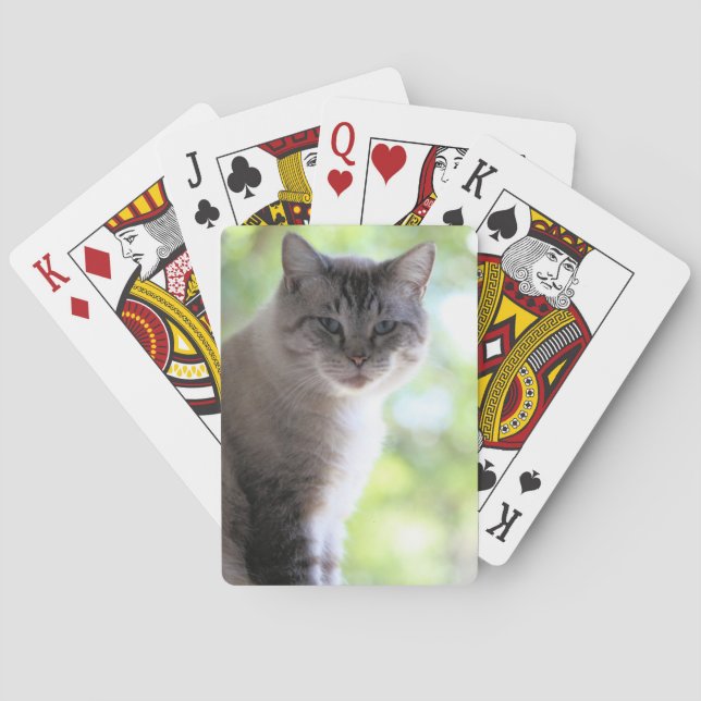 Jeu De Cartes Cat (dos)