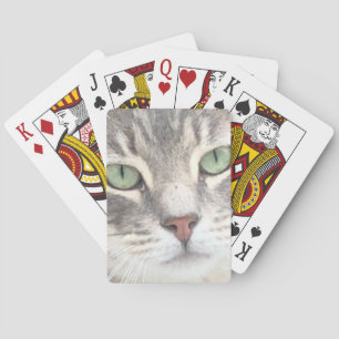 Jeu De Cartes Cat