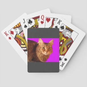Jeu De Cartes Cat 14 Playing Cartes