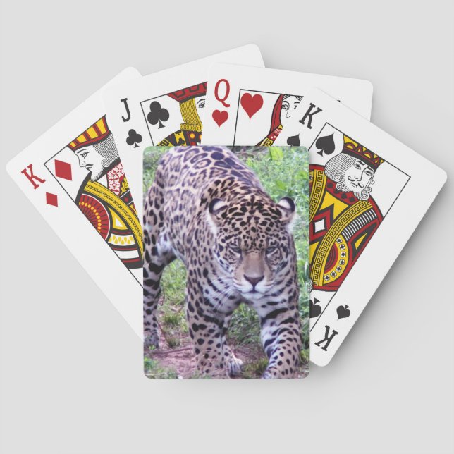 Jeu De Cartes Cats Jaguar Safari Jungle Destiny Nature Peace (dos)
