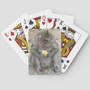 Jeu De Cartes C'est à moi ! ! ... Singe Macaque thaïlandais sauv