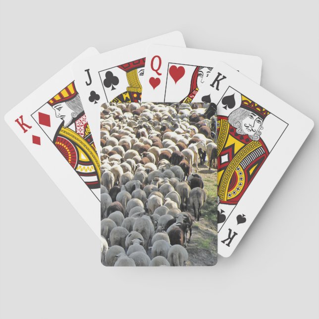 Jeu De Cartes C'est un mouton en bas qui joue aux cartes (dos)