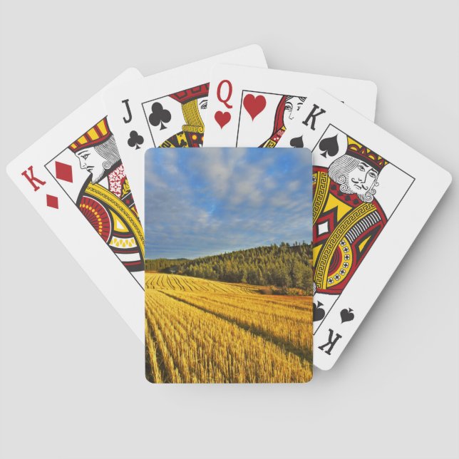 Jeu De Cartes Champ de blé après récolte (dos)
