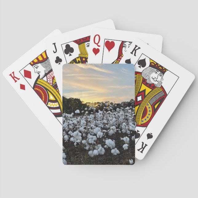 Jeu De Cartes Champ de coton (dos)