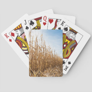 Jeu De Cartes Champ de maïs partiellement récolté