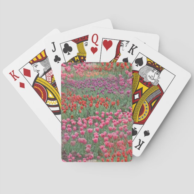 Jeu De Cartes Champ De Tulipes (dos)