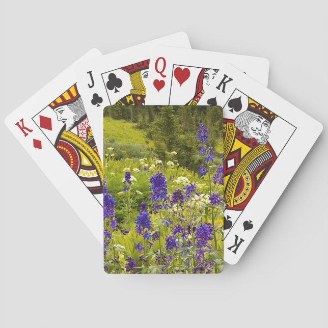 Jeu De Cartes Champ pourpre (dos)