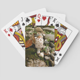 Jeu De Cartes Champignon sauvage sur un monticule moussu
