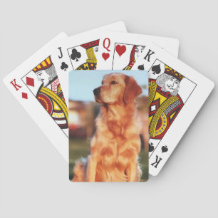 Jeu De Cartes Champion d'or du triathlon Extraordinaire de chien