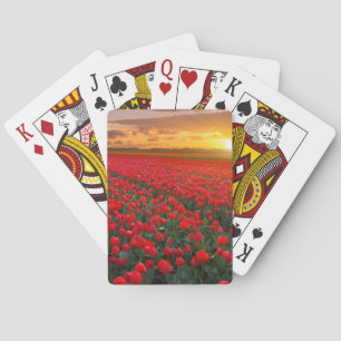 Jeu De Cartes Champs de tulipe au coucher du soleil dans