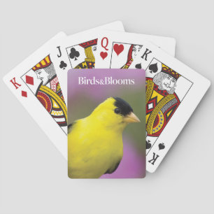 Jeu De Cartes Chardonneret