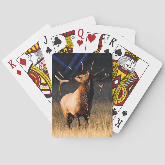 Jeu De Cartes Chargement des wapitis (dos)