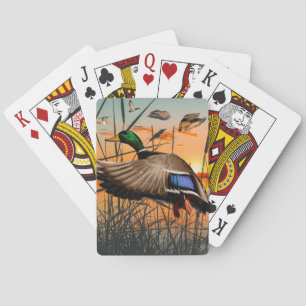 Jeu De Cartes Chasse De Canard Jouer Des Cartes, Voler Mallard