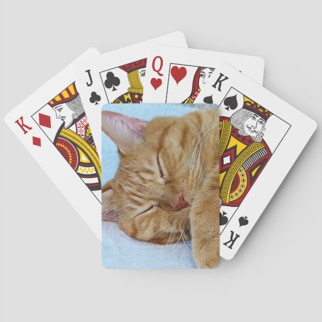 Jeu De Cartes Chat couché (dos)