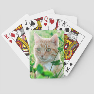 Jeu De Cartes Chat de gingembre avec yeux verts en herbe