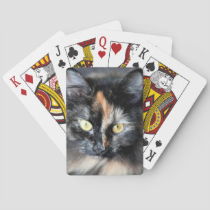 Jeu De Cartes Chat de Sibérie