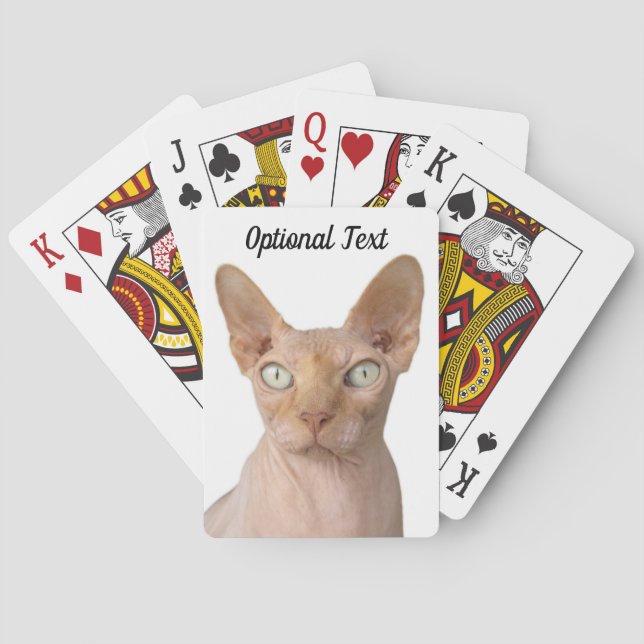 Jeu De Cartes Chat Sphynx sans cheveux (dos)