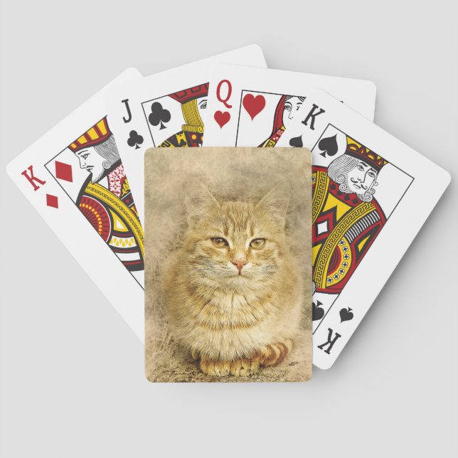 Jeu De Cartes Chat Tabby Orange (dos)