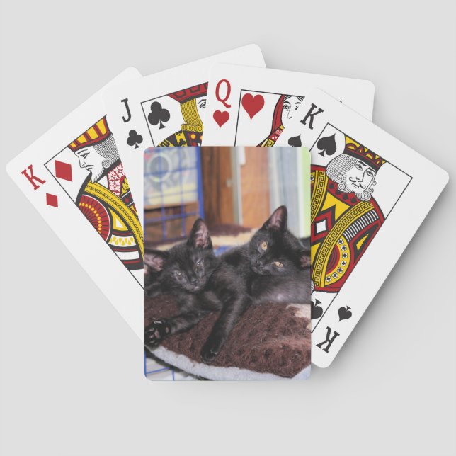 Jeu De Cartes Chatons (dos)